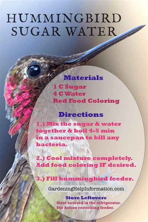The hummingbird syrup recipe calls for a 4 to 1 ratio of water to sugar. This ratio will produce a solution that is close to the actual nectar that hummingbirds get from plants. The hummingbird syrup recipe calls for boiling the nectar to release any chlorine that might be in the water and to kill any mold spores or any other unwanted organisms ...